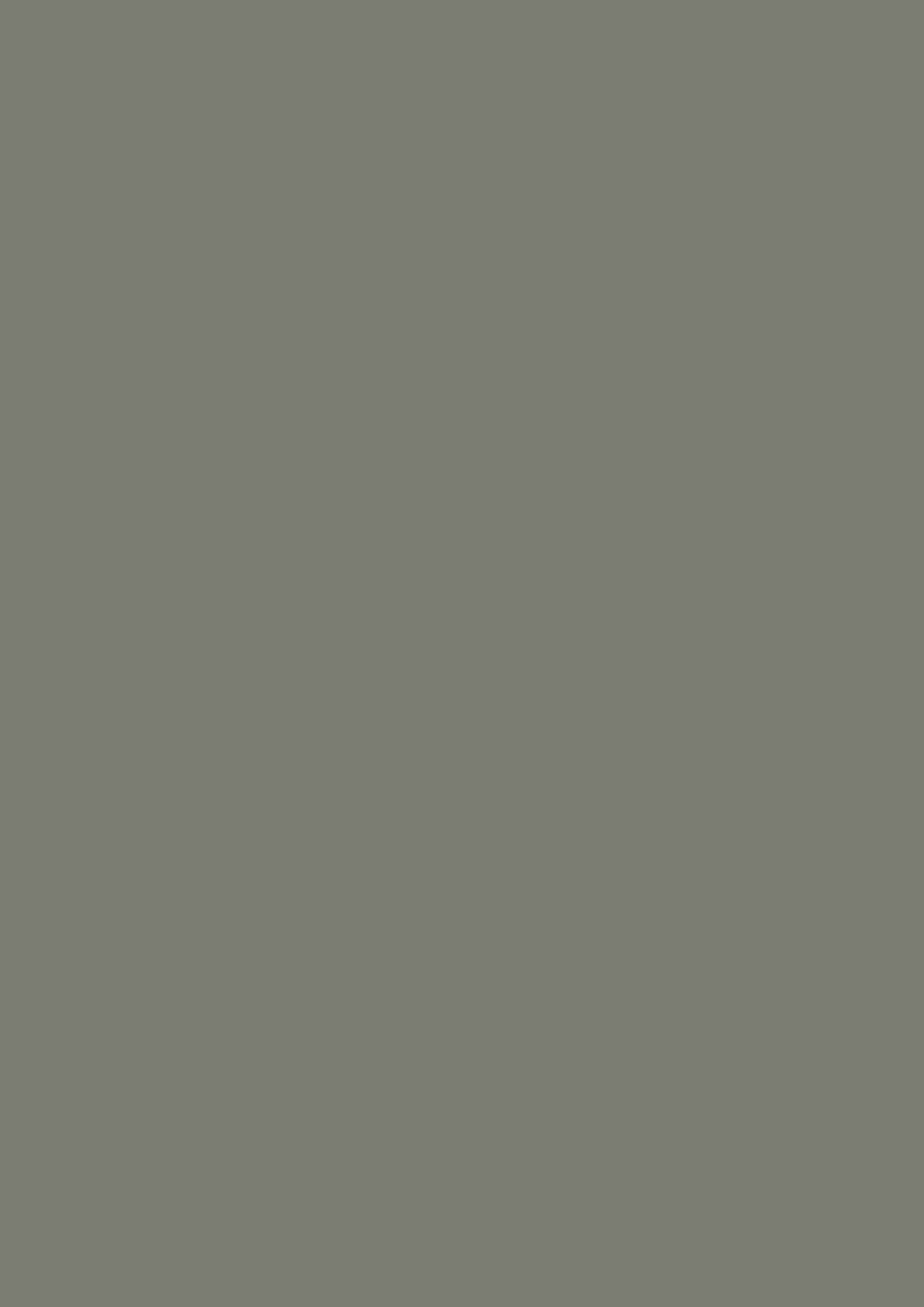 114 Concrete grey