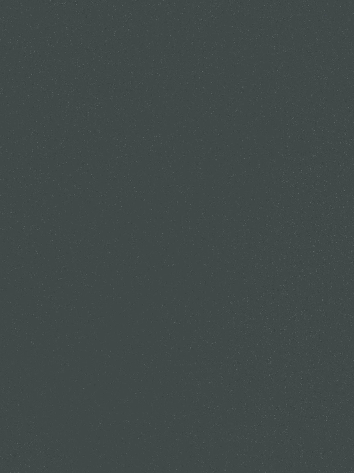 667 Basalt grey