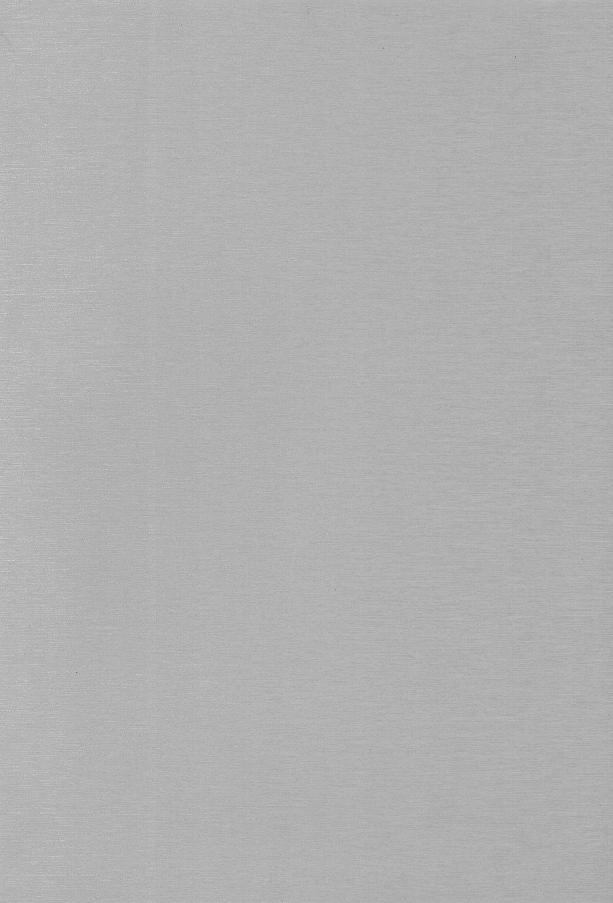 658 Metbrush Aluminium white