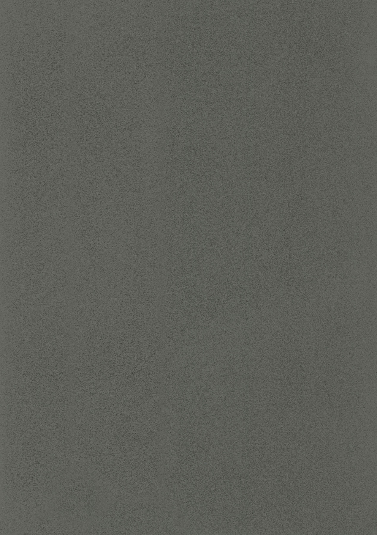 657 Basalt Grey Smooth Mat